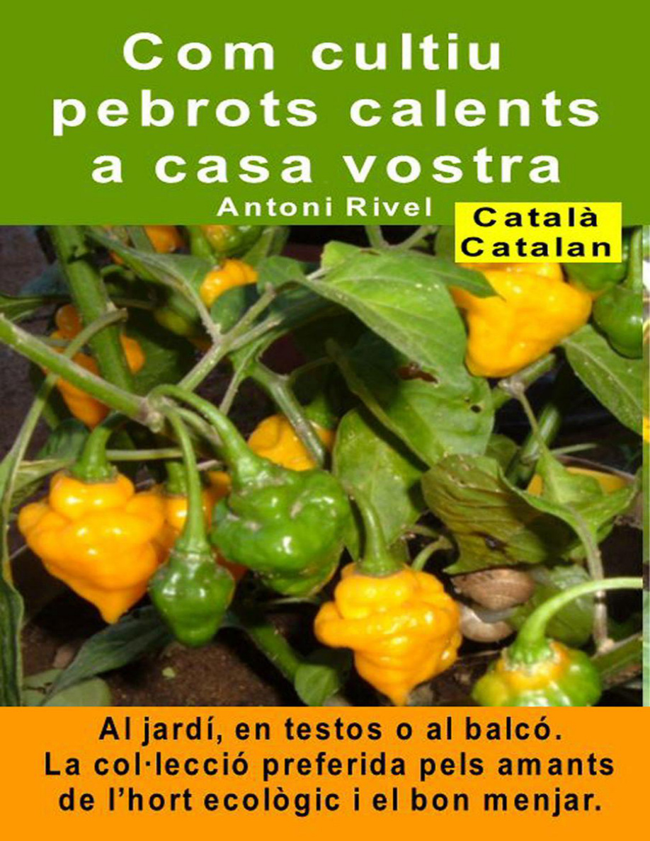 Com cultiu pebrots calents a casa vostra Al jardi en testos o al balco Catalan Edition Antoni Rivel Kitap Kapağı