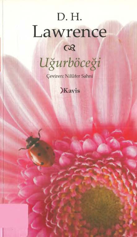 Uğurböceği PDF - D. H. Lawrence 8 Uğurböceği PDF – D. H. Lawrence