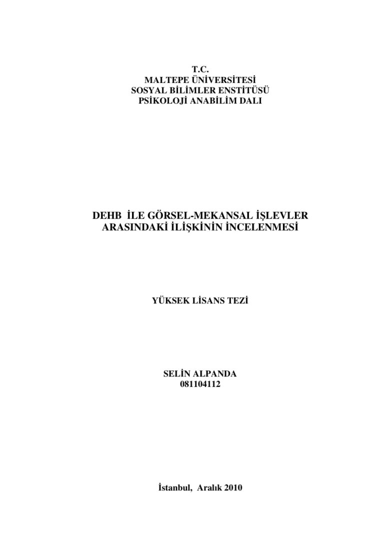 DEHB İLE GÖRSEL MEKANSAL İŞLEVLERARASINDAKİ İLİŞKİNİN İNCELENMESİ Kitap Kapağı