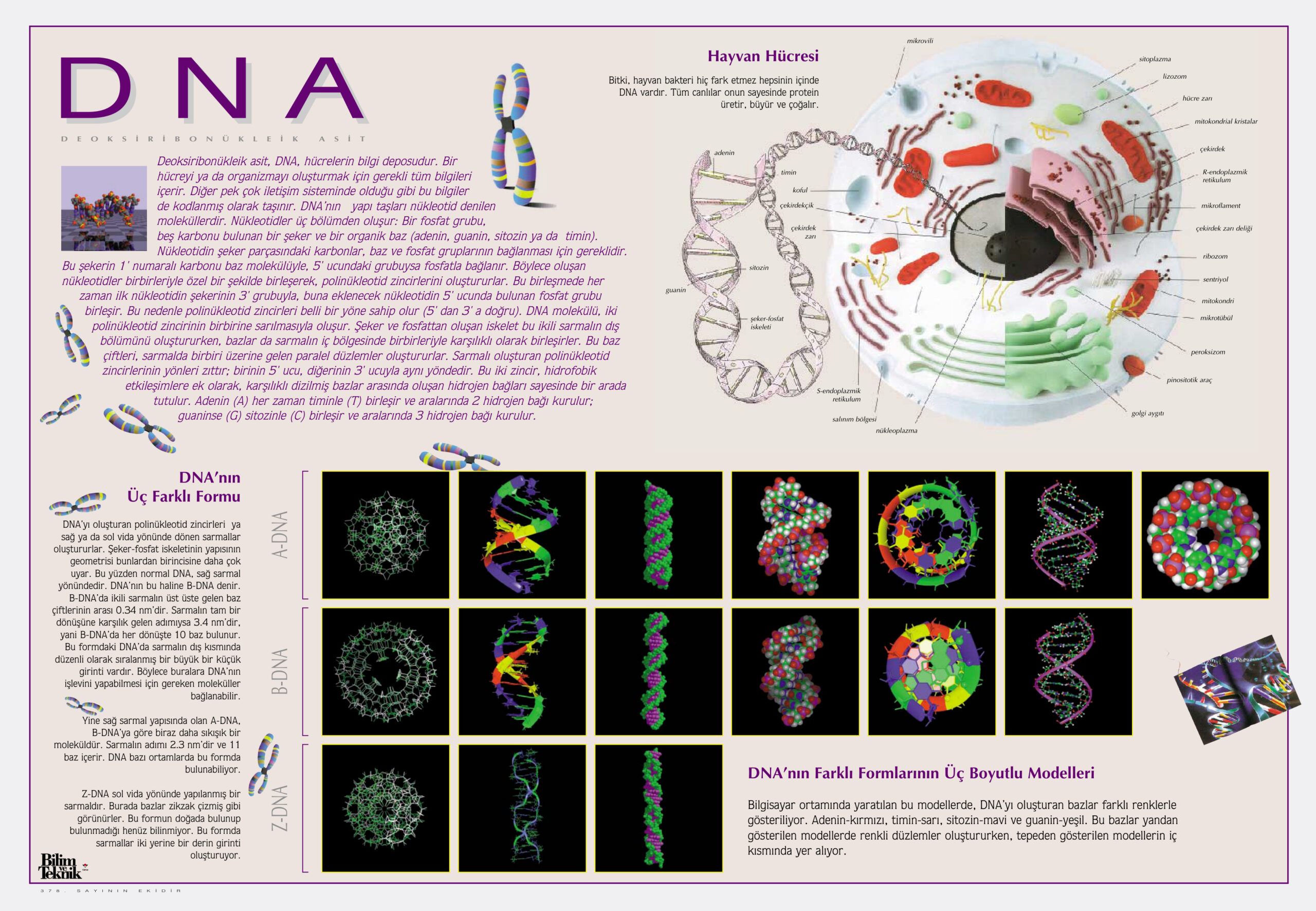 DNA ve Genetik Mühendisliği PDF – Kolektif / Bilim