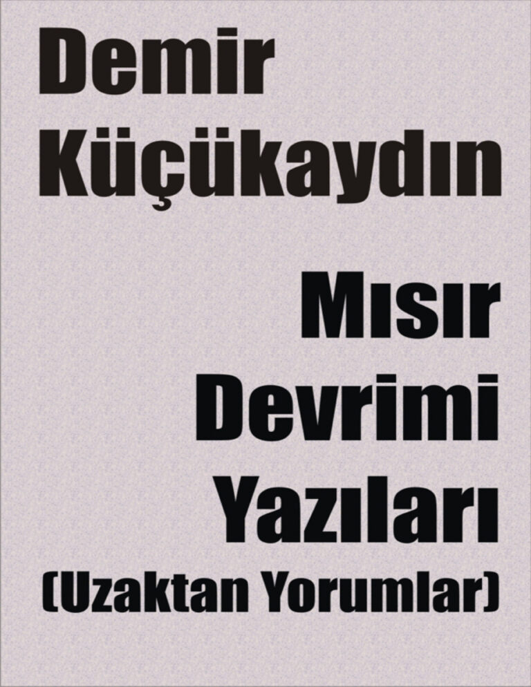 Demir Küçükaydın Mısır Devrimi Yazıları Uzaktan Yorumlar Kitap Kapağı