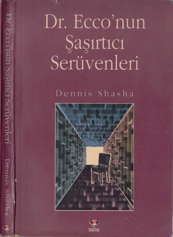 Dr. Ecco’nun Şaşırtıcı Serüvenleri PDF – Dennis Shasha