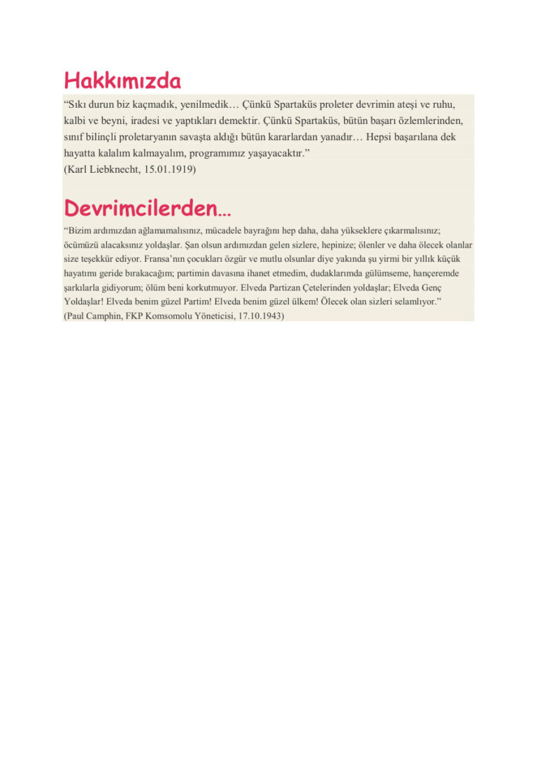 Devrimcilerden PDF - Kolektif / Anı 11 Devrimcilerden Kitap Kapağı