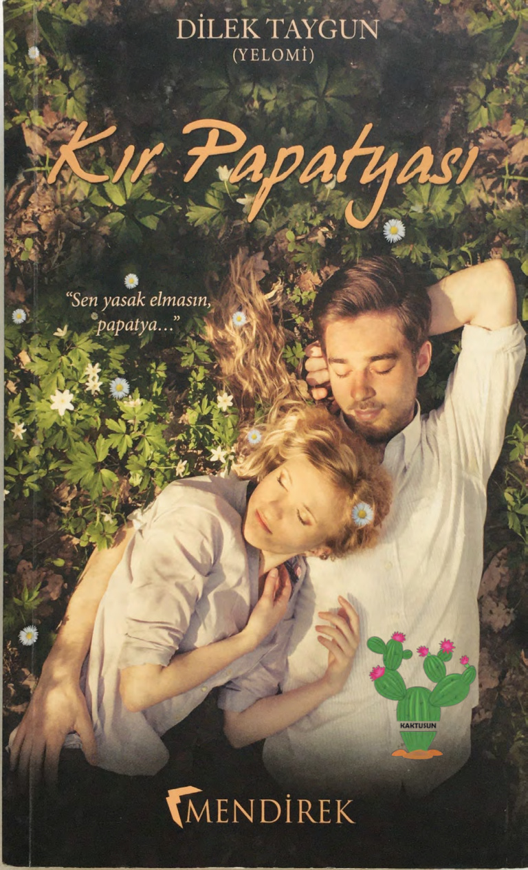 Kır Papatyası PDF – Dilek Taygun