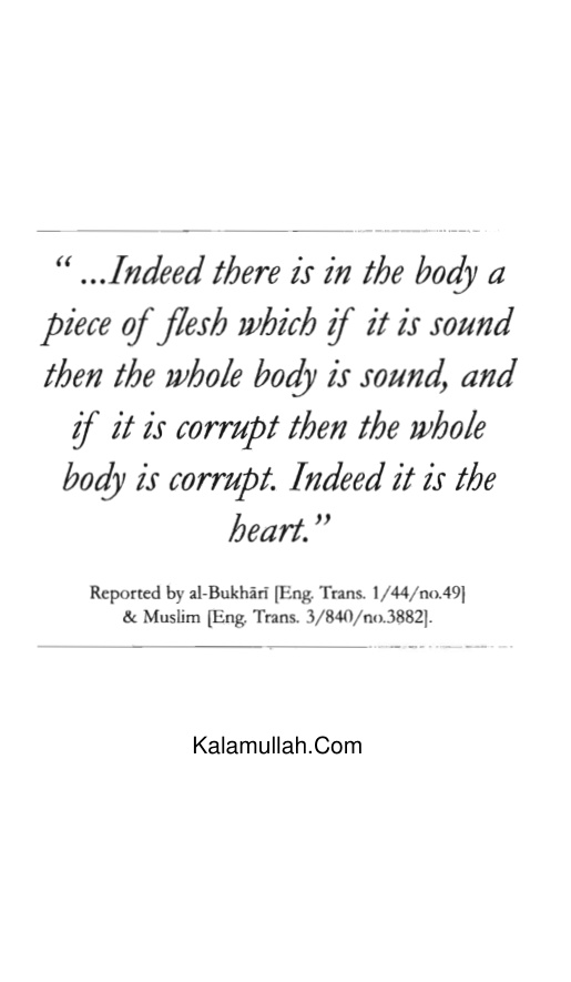 Diseases Of The Hearts And Their Cures PDF – Ibn Taymiyyah