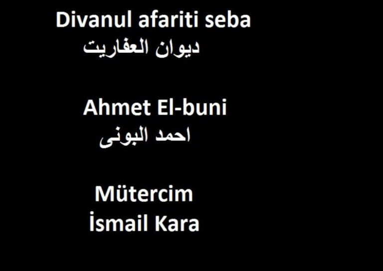 Divanül Afaritül Seba Yedi İfritin Divanı İsmail Kara Kitap Kapağı