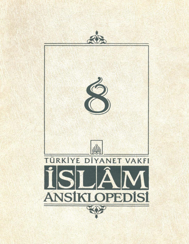 Diyanet Vakfı İslam Ansiklopedisi 08 Kitap Kapağı