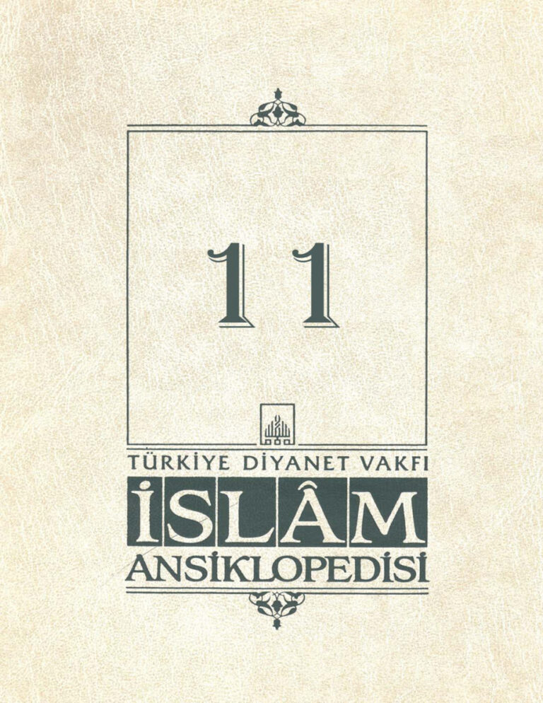 Diyanet Vakfı İslam Ansiklopedisi 11 Kitap Kapağı