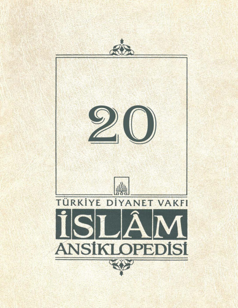 Diyanet Vakfı İslam Ansiklopedisi 20 Kitap Kapağı