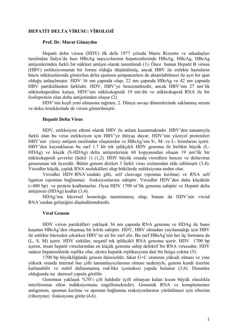 Dr. Murat GUNAYDIN HEPATİT DELTA VİRUSU VİROLOJİ Kitap Kapağı