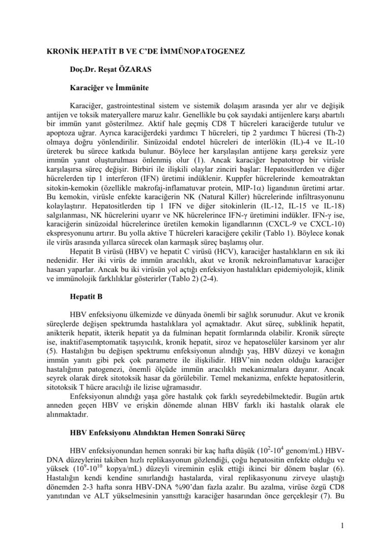 Dr. Resat OZARAS KRONİK HEPATİT B VE C’DE İMMÜNOPATOGENEZ Kitap Kapağı