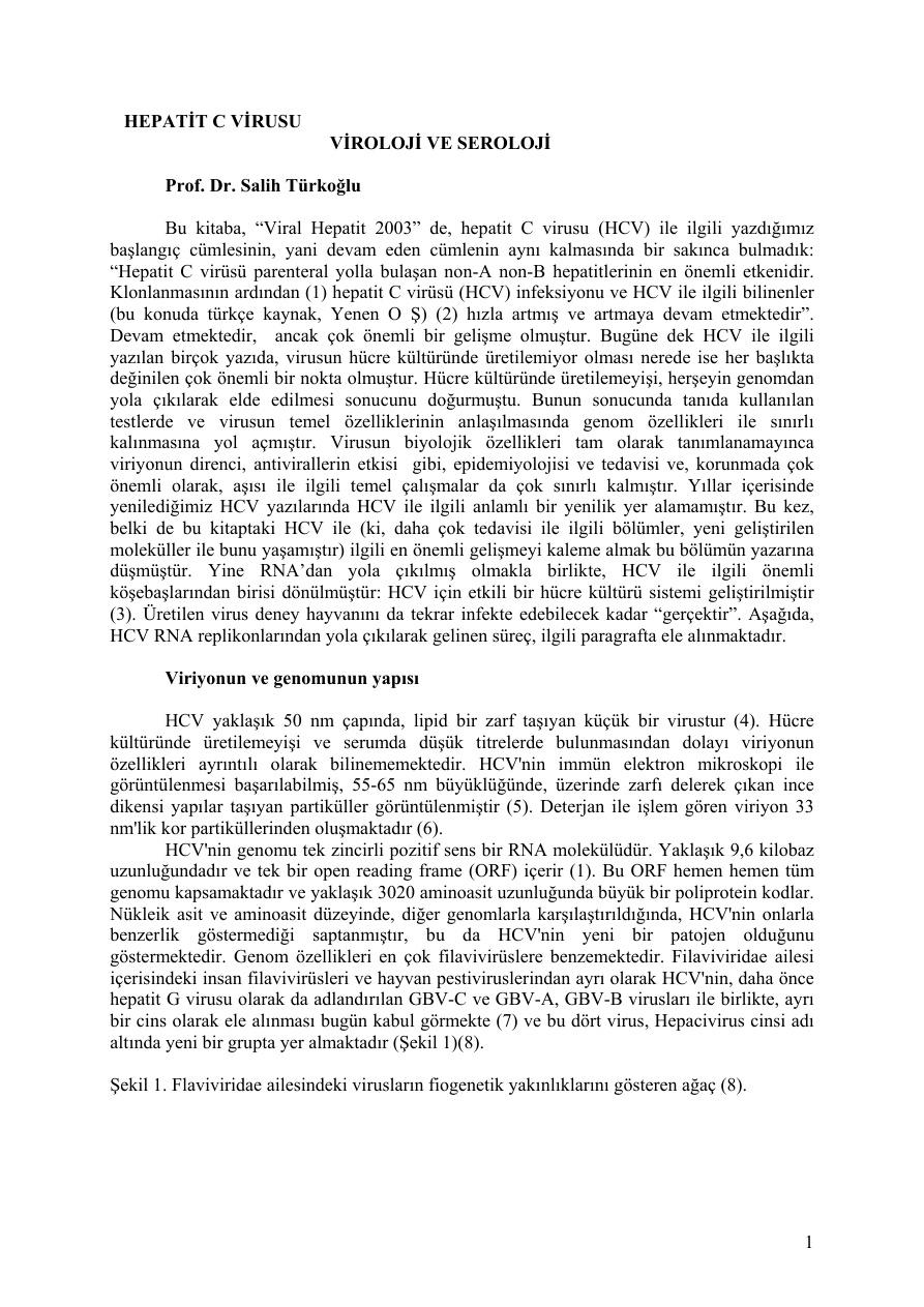 Hepatit C Virüsü PDF – Dr. Salıh TURKOGLU