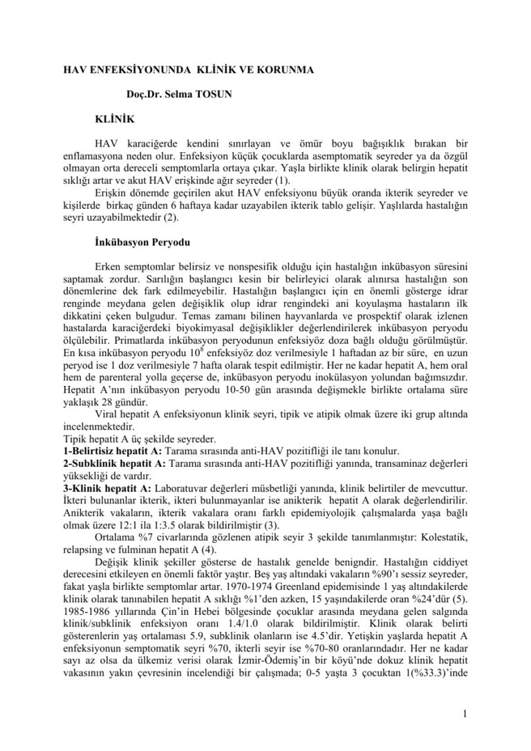 Dr. Selma TOSUN HAV ENFEKSİYONUNDA KLİNİK VE KORUNMA Kitap Kapağı