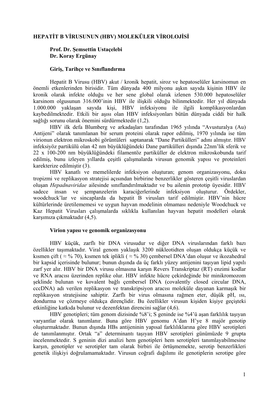Hepatit B Virüsünün Moleküler Virolojisi PDF – Dr. Şemseddin Ustacelebi & Dr. Koray Ergünay