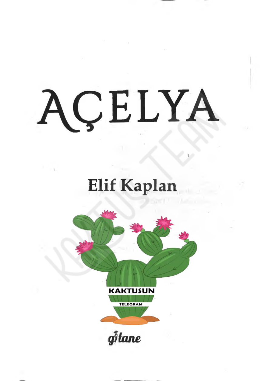 Açelya PDF – Elif Kaplan