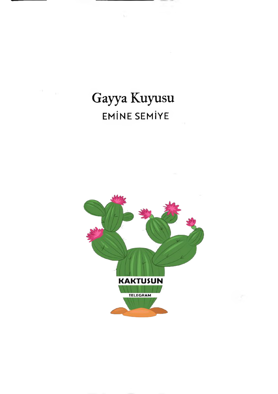 Gayya Kuyusu PDF – Emine Semiye