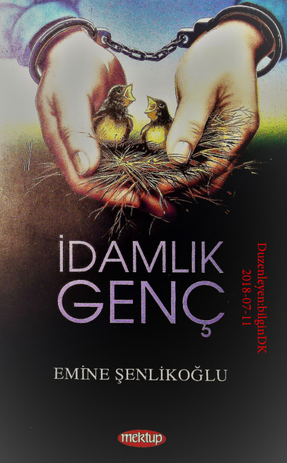 Idamlik Genc PDF – Emine Senlikoglu