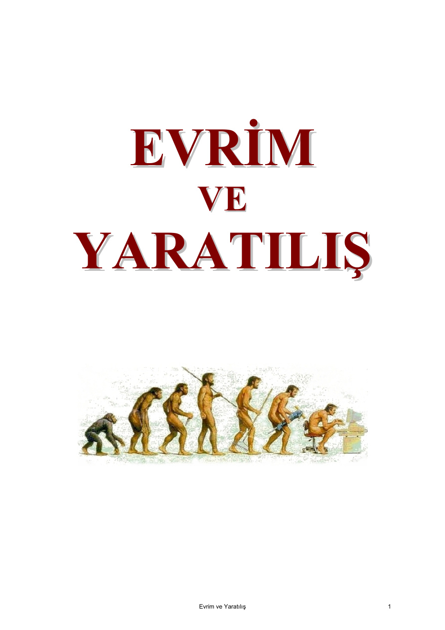 Evrim ve Yaratılış PDF – Kolektif