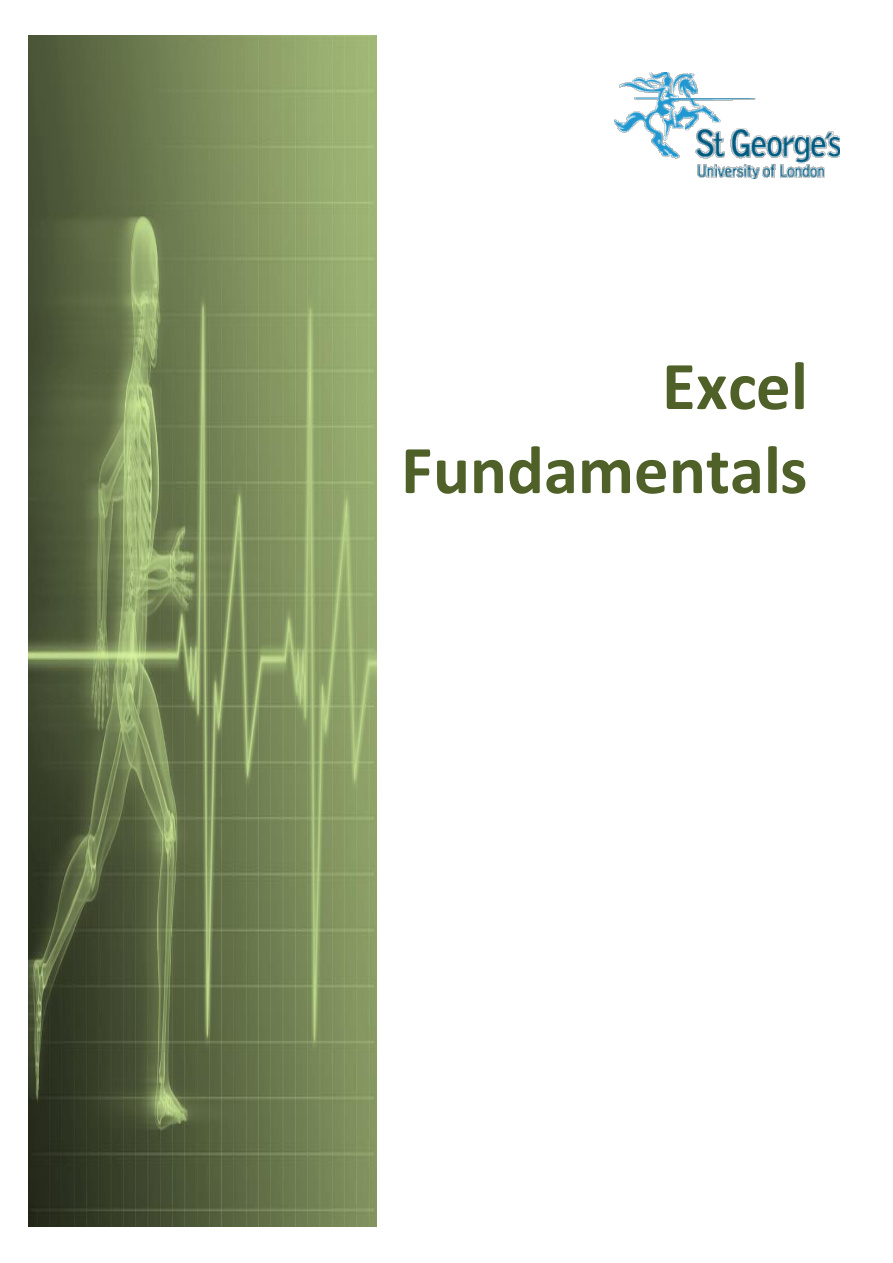 Excel Fundamentals Manual PDF – Unknown