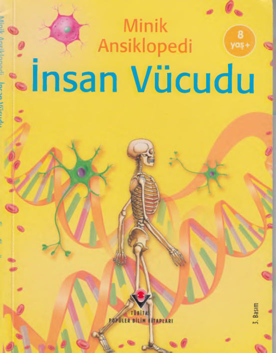 İnsan Vücudu PDF – Fiona Chandler