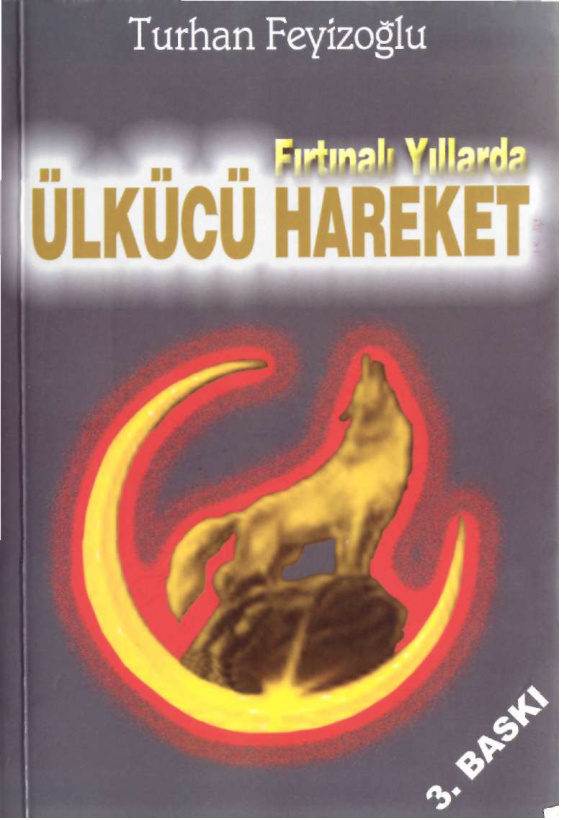 Firtinali Yillarda Ulkucu Hareket PDF – Turhan Feyizoglu