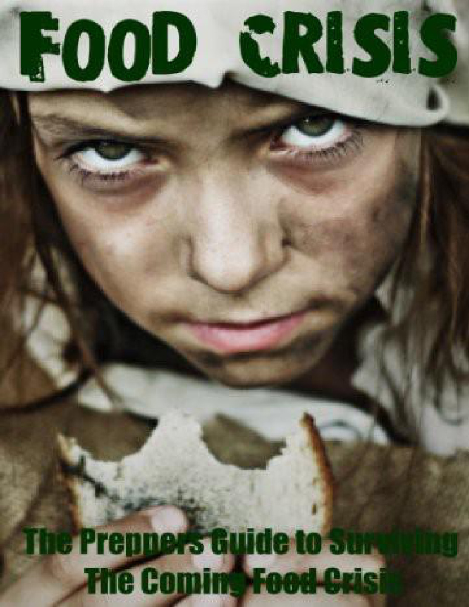 Food Crisis: The Prepper’s Guide to Surviving the Coming Food Shortage PDF – Unknown
