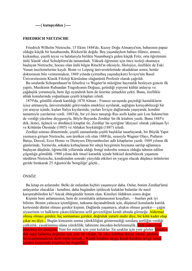 Friedrich Nietzsche Kutup Yıldızı Kitap Kapağı