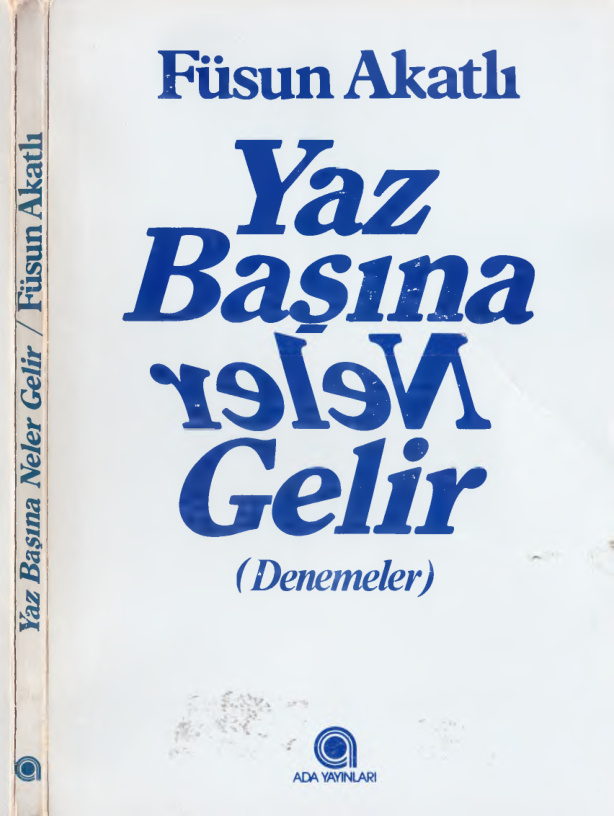 Toplu Eserleri 10 Yaz Başına Neler Gelir PDF – Füsun Akatlı