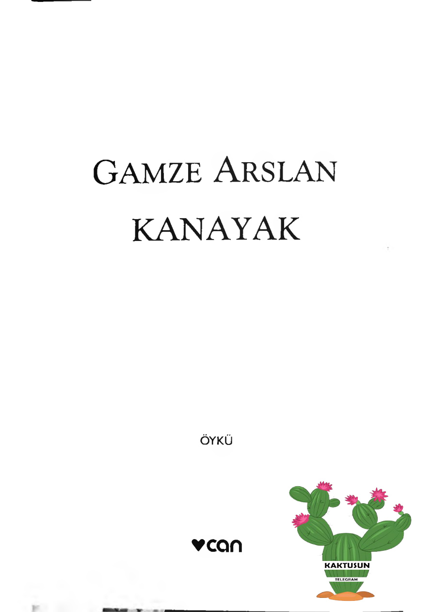 Kanayak PDF – Gamze Arslan