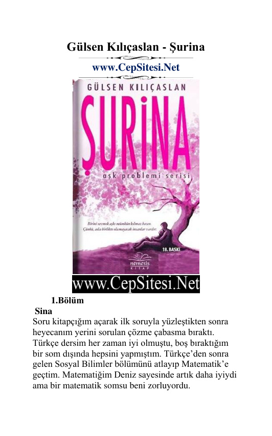 Matematik Problemi #2: Şurina PDF – Gülsen Kılıçaslan