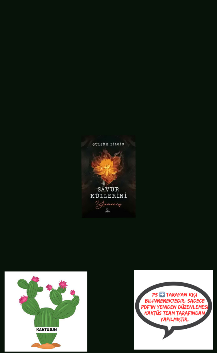 Savur Küllerini #1: Yanmış PDF – Gülsüm Bilgin