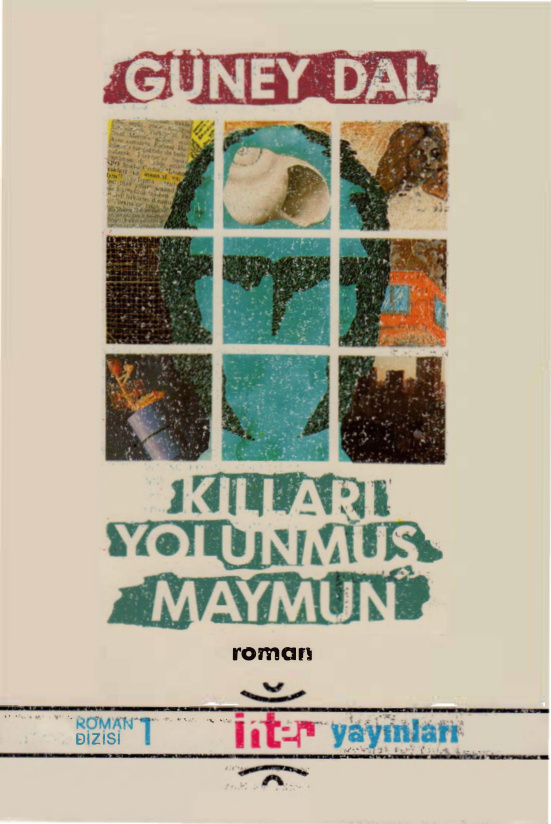 Kılları Yolunmuş Maymun PDF – Güney Dal