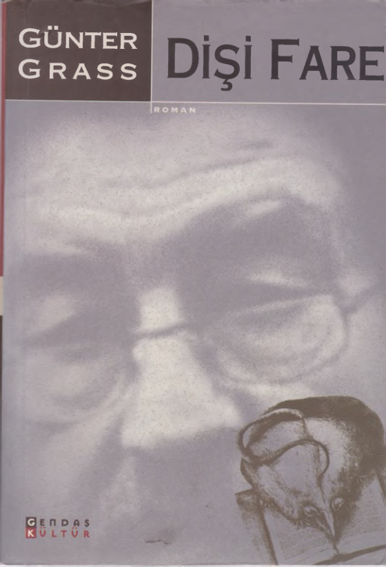 Dişi Fare PDF – Günter Grass