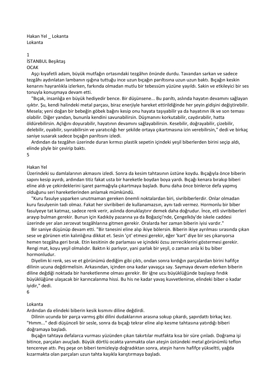 Lokanta PDF – Hakan Yel