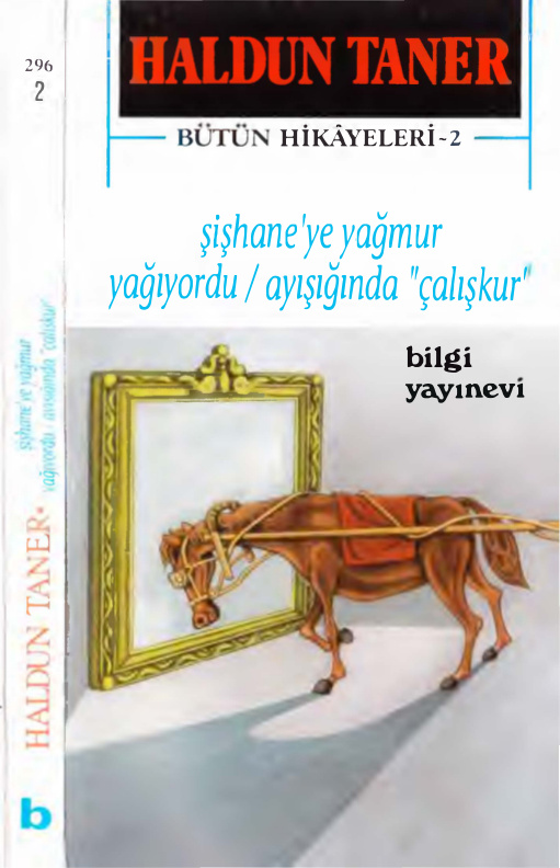 Şişhane’ye Yağmur Yağıyordu – Ayışığında Çalışkur: Bütün Hikâyeleri 2 PDF – Haldun Taner