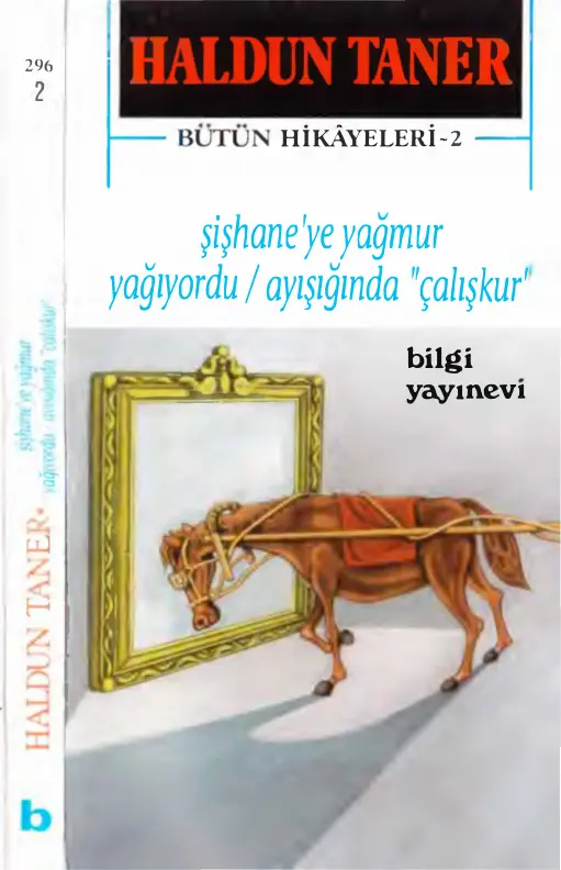 Haldun Taner Bütün Hikayeleri 2 Şişhaneye Yağmur Yağıyordu Ayışığında Çalışkur Bilgi Yayınevi Kitap Kapağı