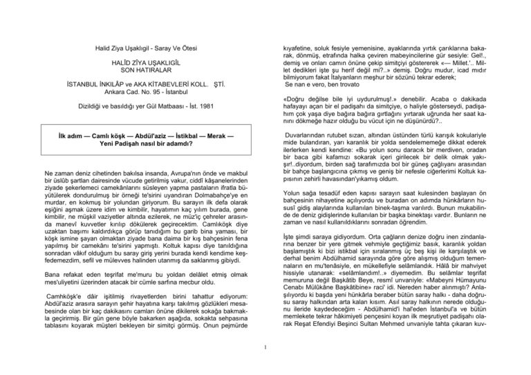 Halid Ziya Usaklıgil Saray Ve Otesi Kitap Kapağı