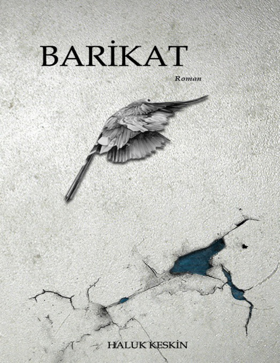 Barikat PDF – Haluk Keskin