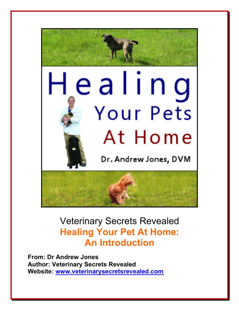 Healing Pets With Alternative Medicine Kitap Kapağı