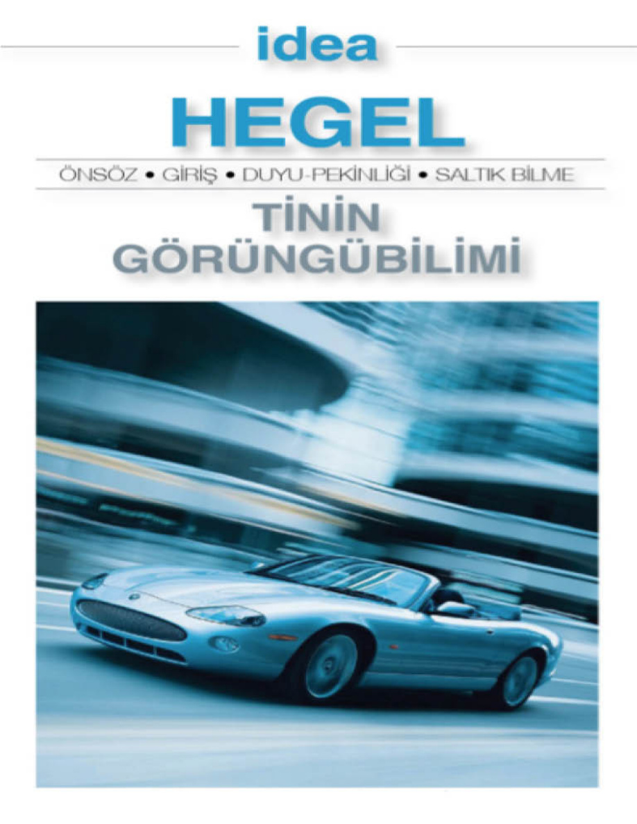 Tinin Görüngübilimi PDF – Georg Wilhelm Friedrich Hegel