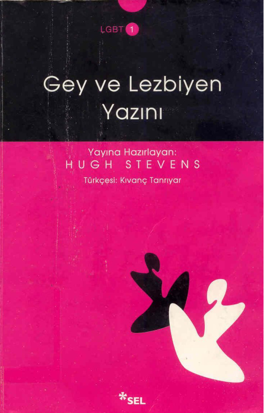 Gey ve Lezbiyen Yazını PDF – Hugh Stevens