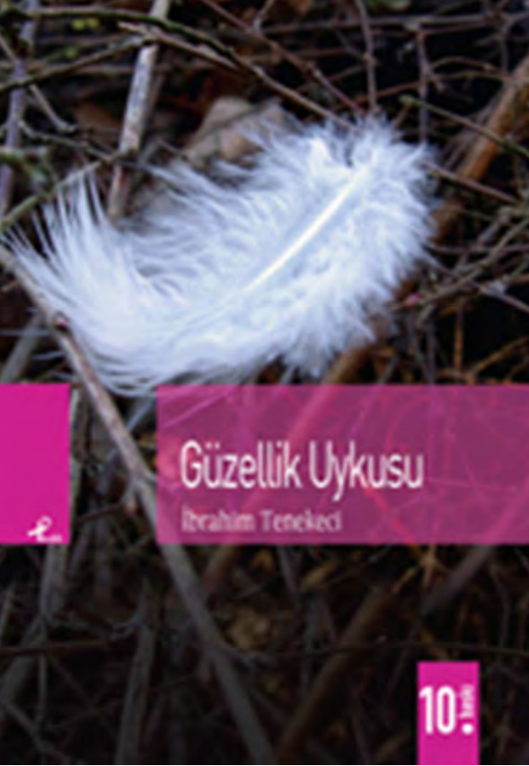 Güzellik Uykusu PDF – İbrahim Tenekeci