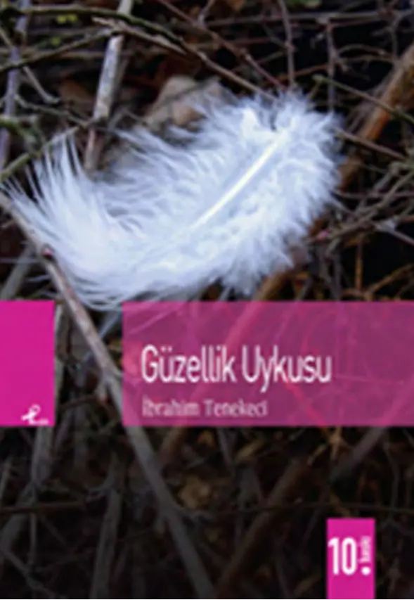 İbrahim Tenekeci Güzellik Uykusu Kitap Kapağı