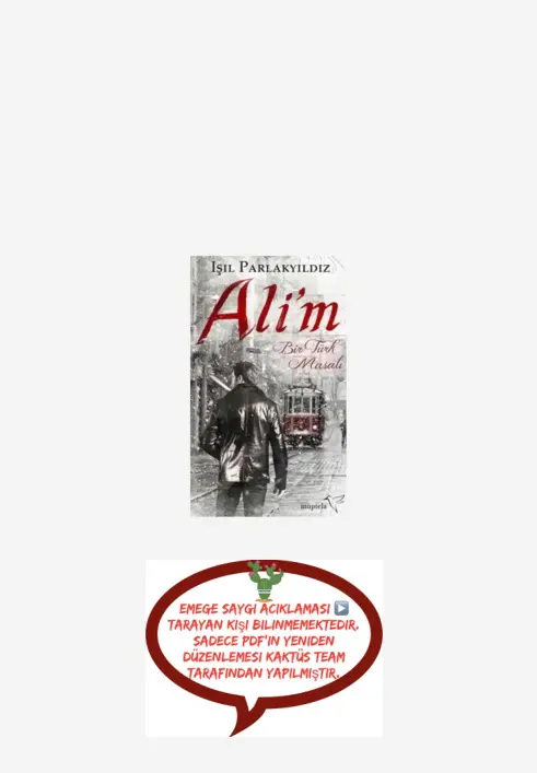 Işıl Parlakyıldız Bir Türk Masalı 2 #Ali'm dc Kitap Kapağı