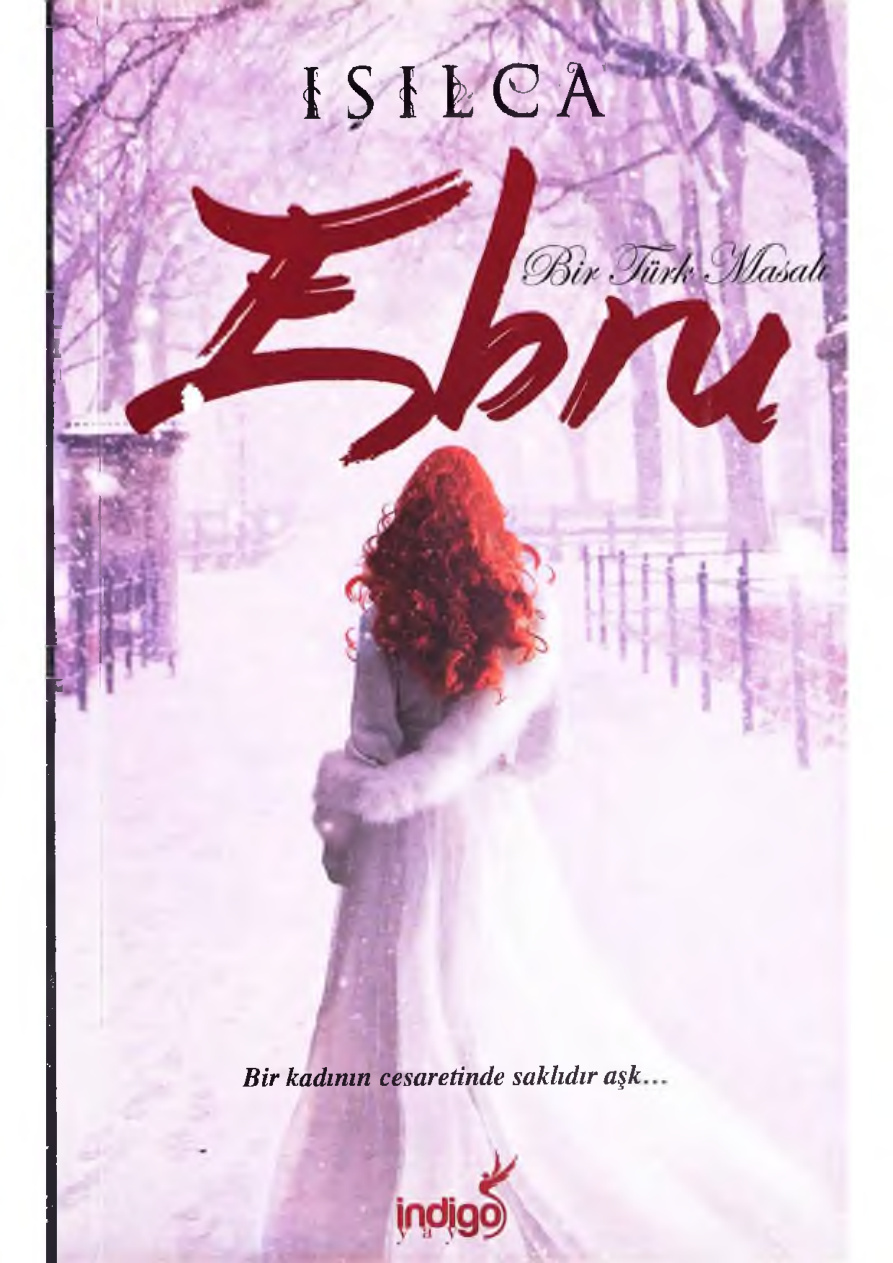 Bir Türk Masalı 6: Ebru PDF – Işıl Parlakyıldız