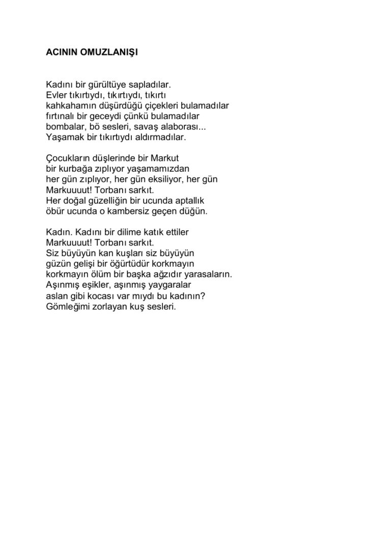 İsmet Özel Portfolio Kitap Kapağı