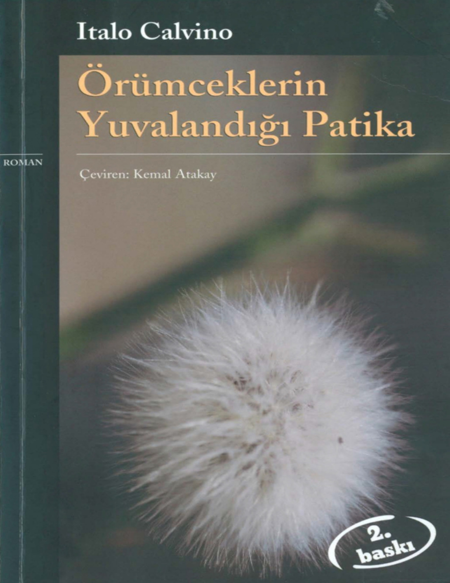 Örümceklerin Yuvalandığı Patika PDF – Italo Calvino