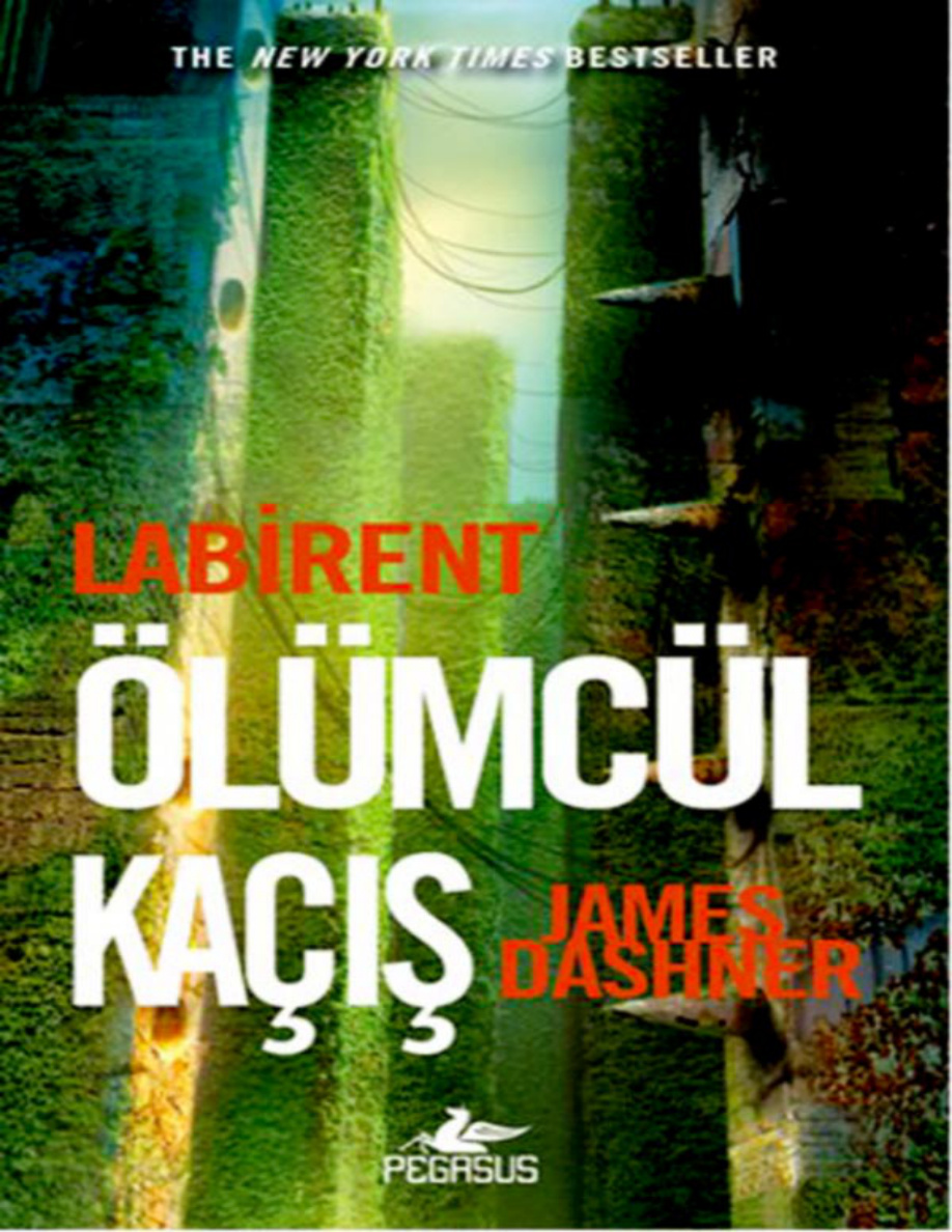 Labirent: Ölümcül Kaçış (#1) PDF – James Dashner