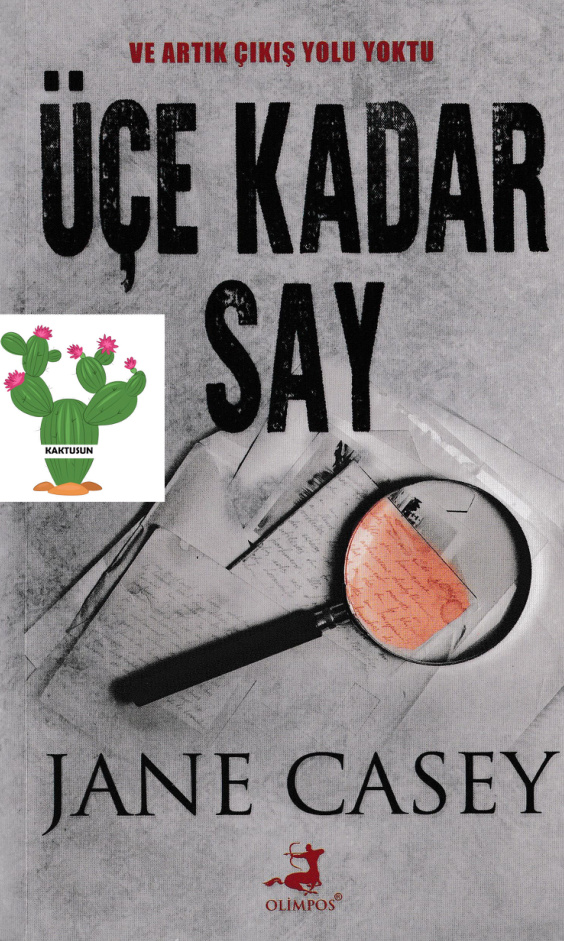 Üçe Kadar Say PDF – Jane Casey