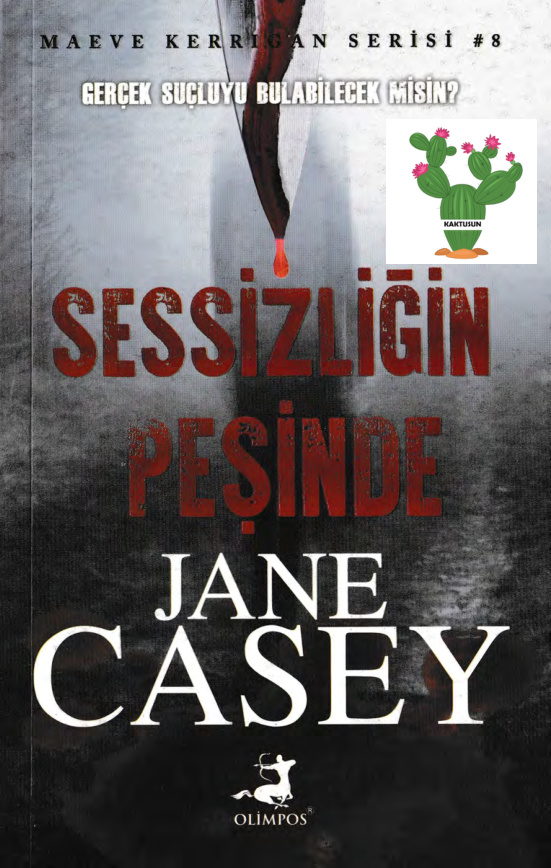 Sessizliğin Peşinde PDF – Jane Casey